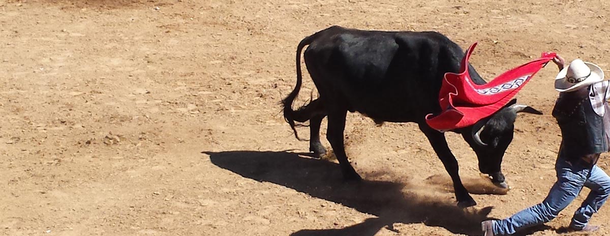 Customs, traditional bullfight