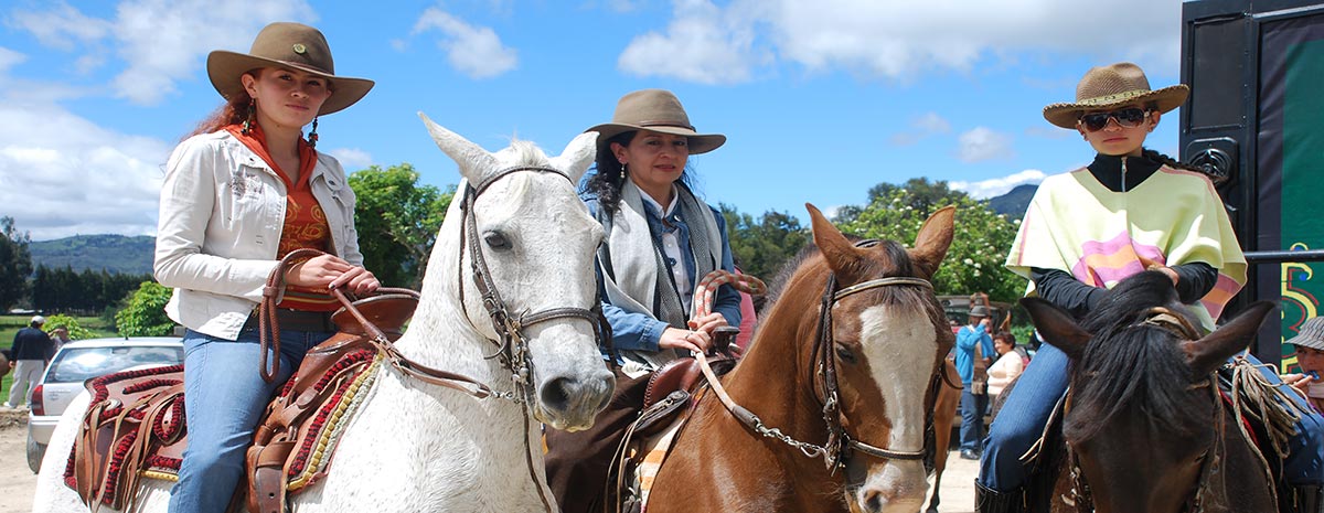 Excursions on horseback