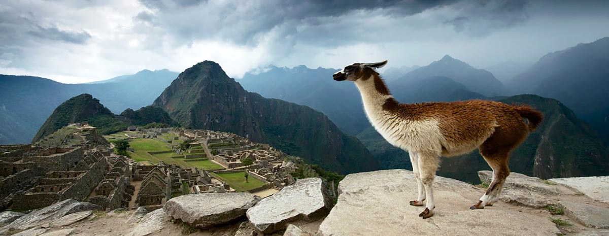 Simplesmente Machu Picchu