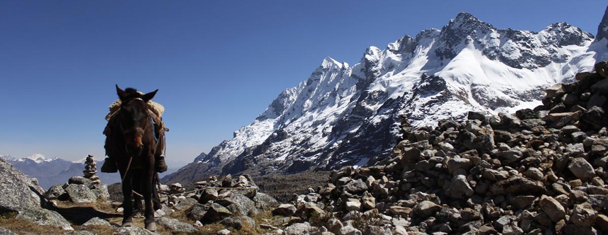 Salkantay